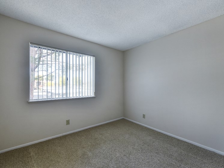 Vancant spare bedroom with large window, light painted walls and carpeting through out.